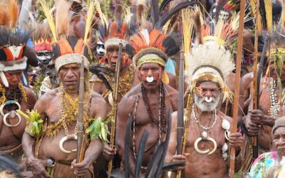 Military-Backed Plantation Project In Indonesian Papua