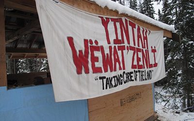 Court Support for Sentencing: Uphold Land Defenders!
